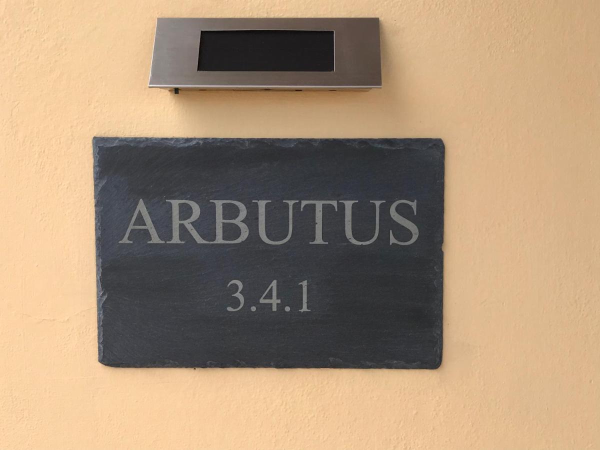 Arbutus - Relaxing Apartment With Fantastic Views Γεωργιούπολη Εξωτερικό φωτογραφία